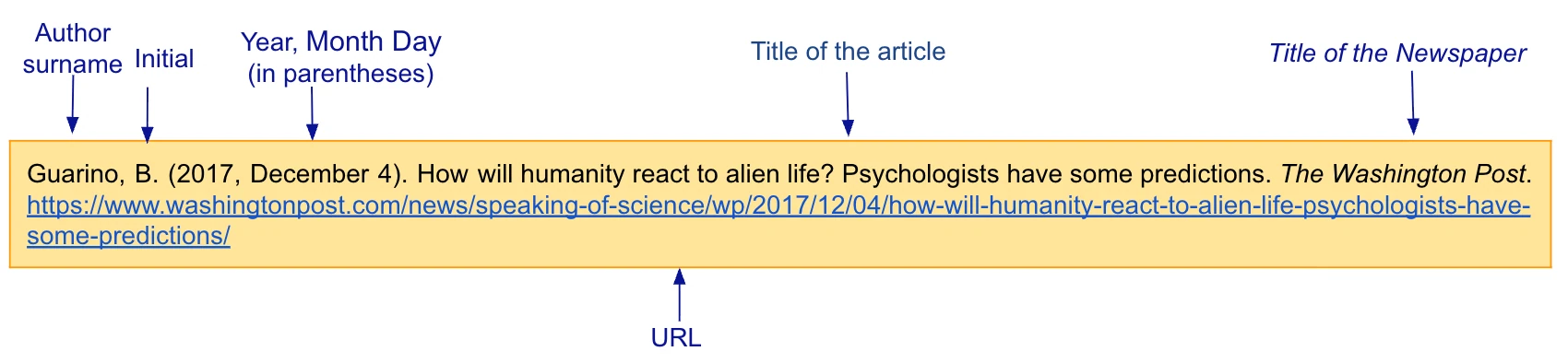 APA online newspaper article reference