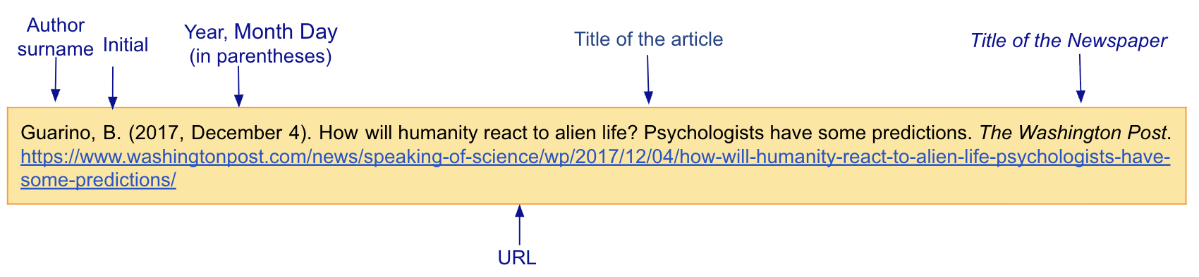 APA online newspaper article reference